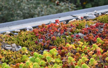 the cost of Borgh green roof installation