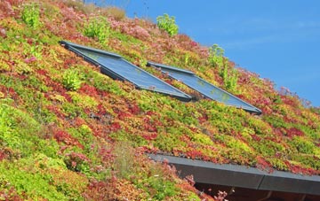 Borgh living roof systems